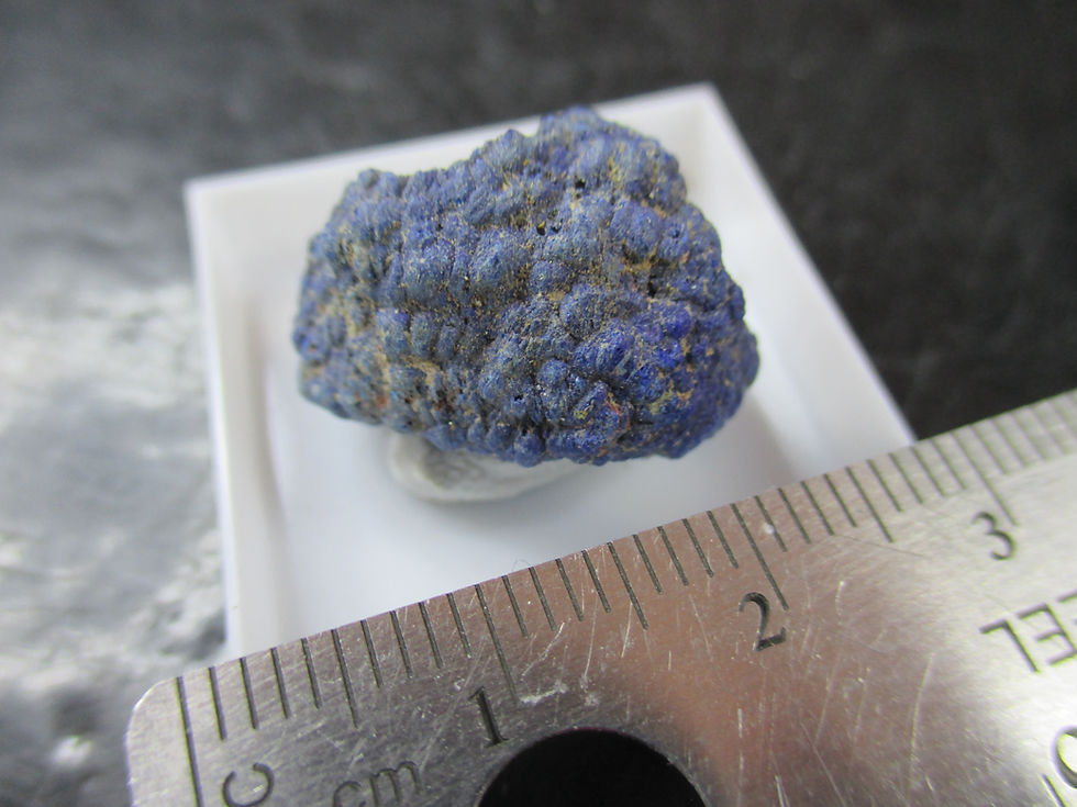 Miniature : Azurite, Florence, Arizona, U.S.A.