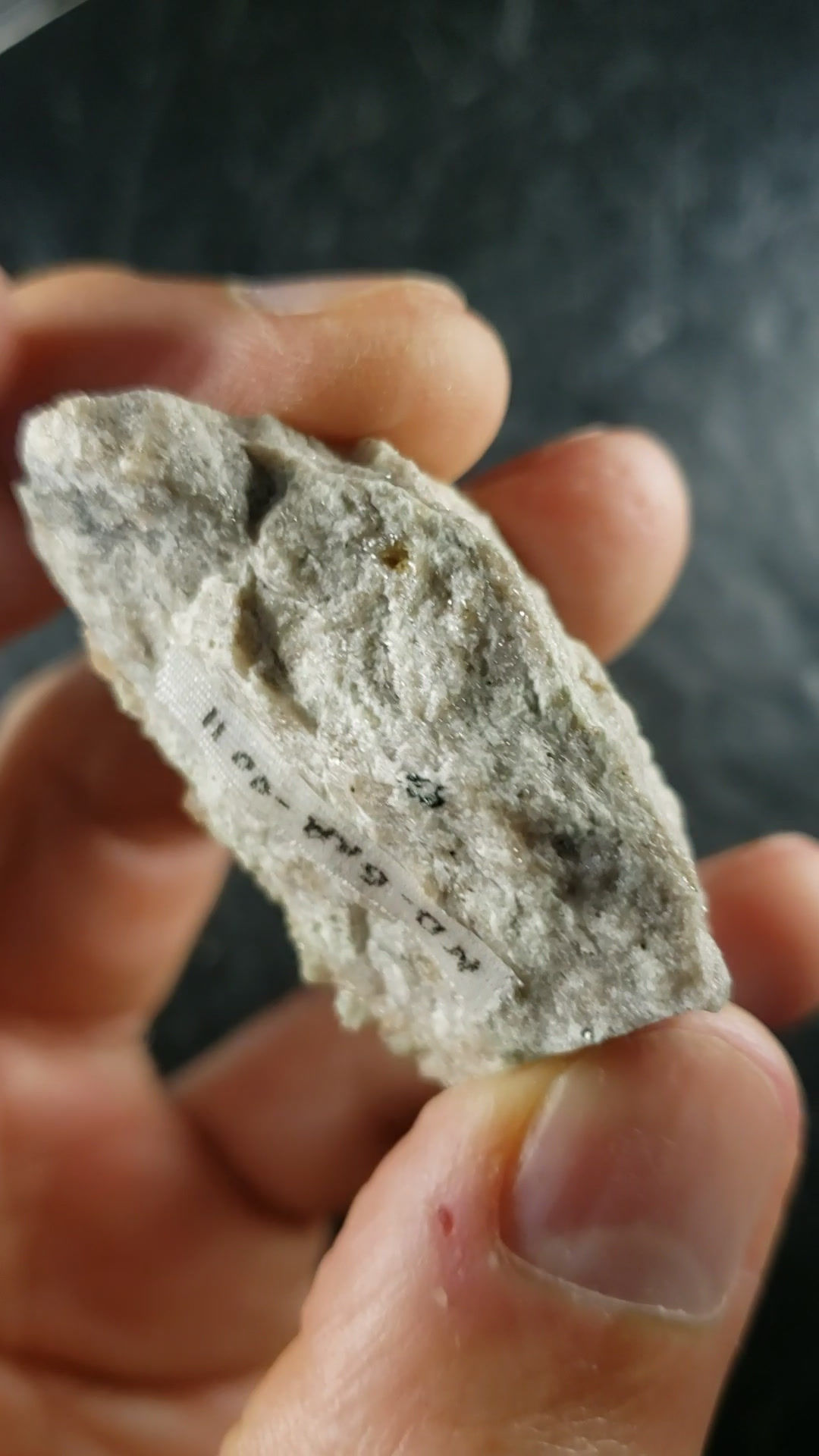 Grenats roses et Diopside, Mine Jeffrey, Asbestos, Québec