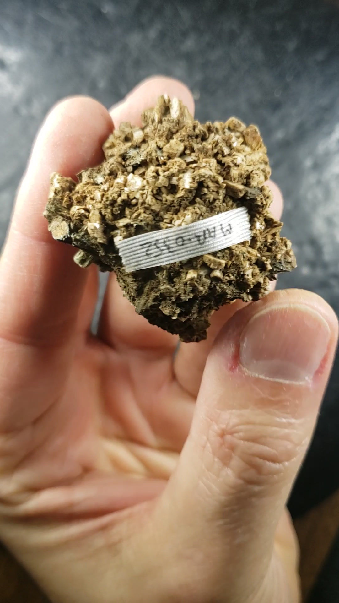 Actinolite sur Orthose, Imilchil, Maroc