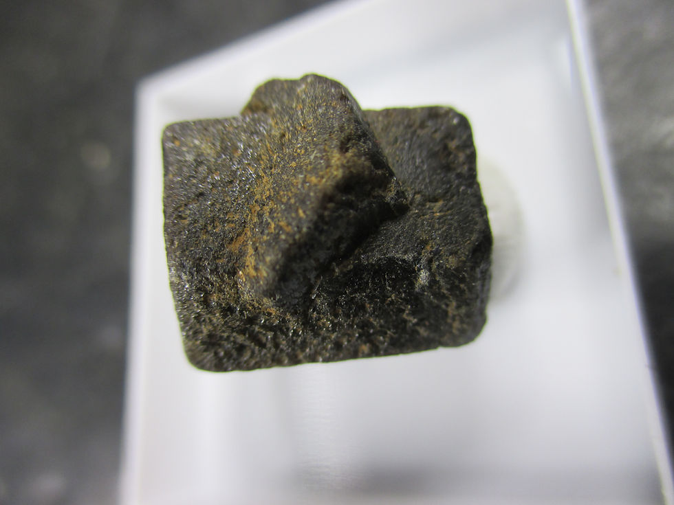 Miniature : Staurolite, Coray, Bretagne, France