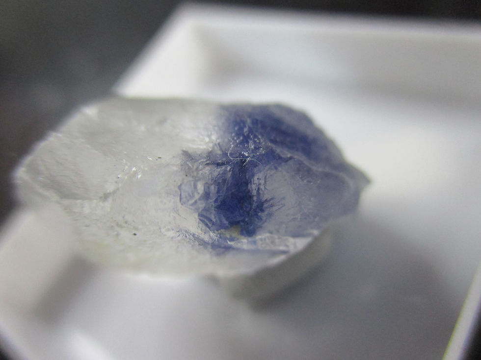 Miniature : Dumortierite (dans quartz), Vaca Morta Quarry, Serra da Vereda, Boquira, Bahia