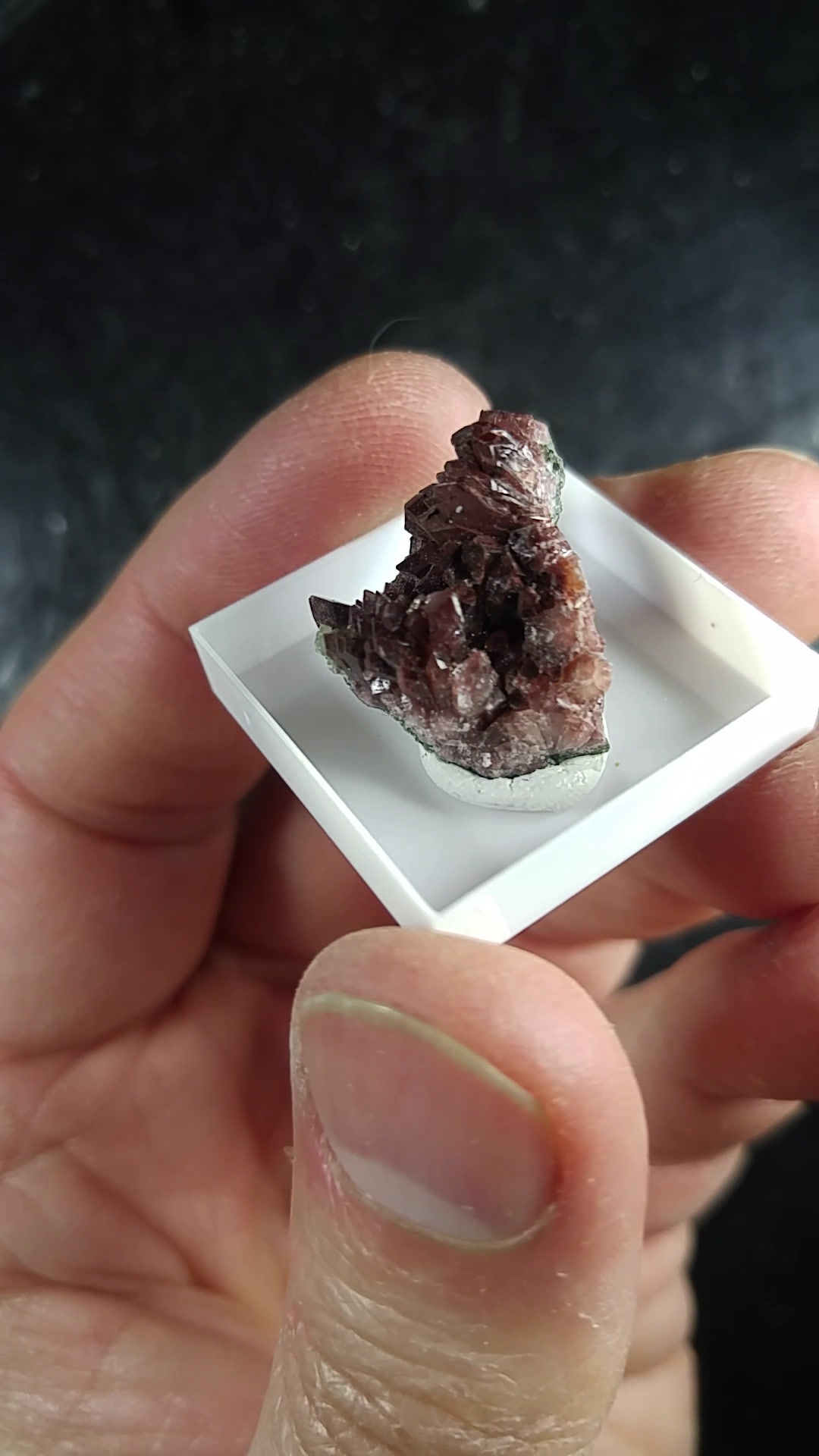 Apophyllite, Maharashtra, Inde