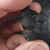 Melanite (Grenat noir de type Andradite), Imilchil, Maroc