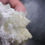 Miniature : Pectolite et Aragonite, Mine Jeffrey, Asbestos, Québec