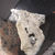 Quartz « Diamant » Herkimer sur support, Mine Ace of Diamonds, Middleville, U.S.