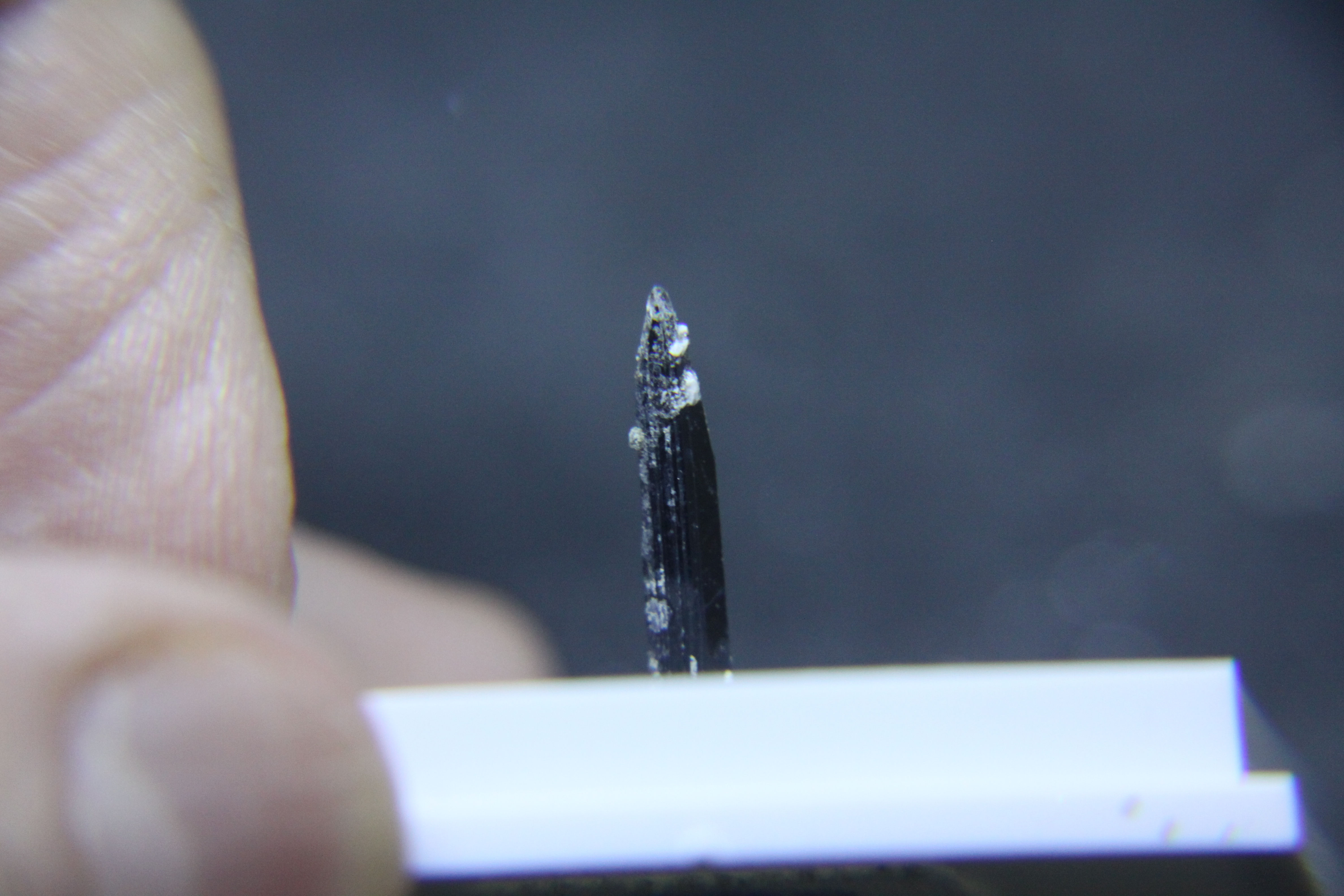 Aegirine (cristal isolé), Mont-St-Hilaire (MSH)