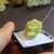 Vesuvianite et Aragonite / mine Jeffrey / Asbestos