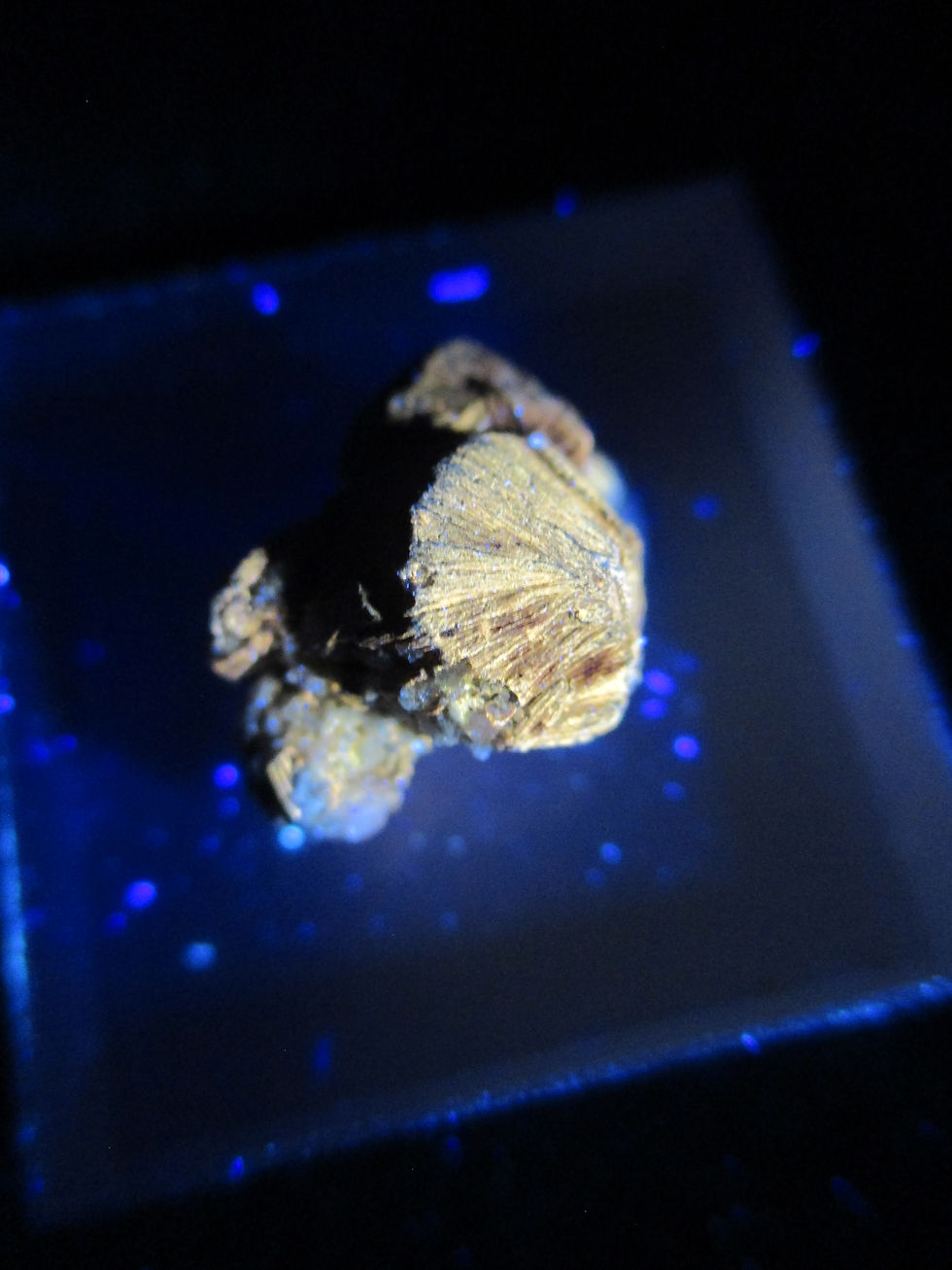 Miniature : Clinochlore et grenats, Mine Jeffrey, Asbestos, Québec