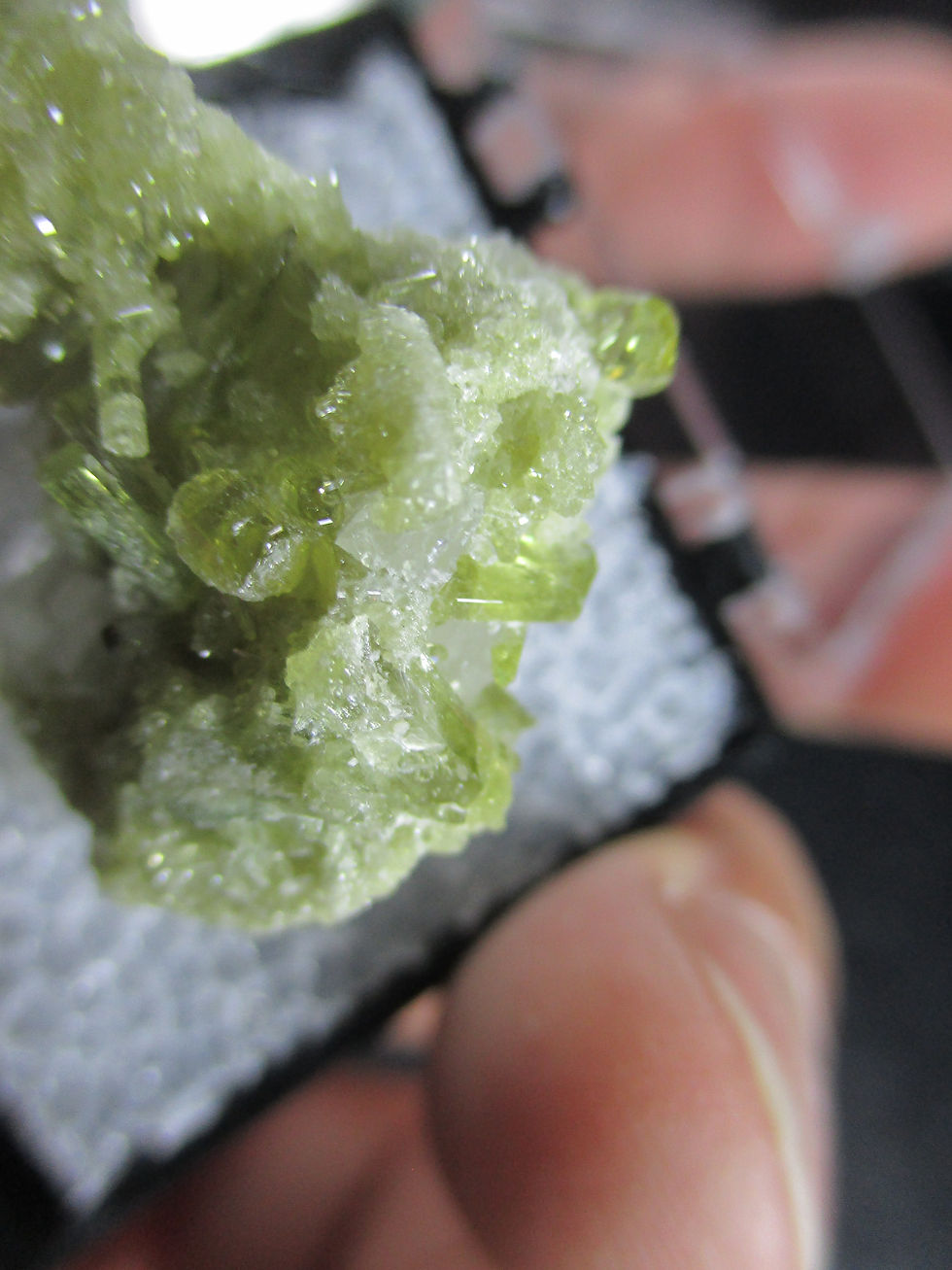 Miniature : Vesuvianite et Pectolite, Mine Jeffrey, Asbestos