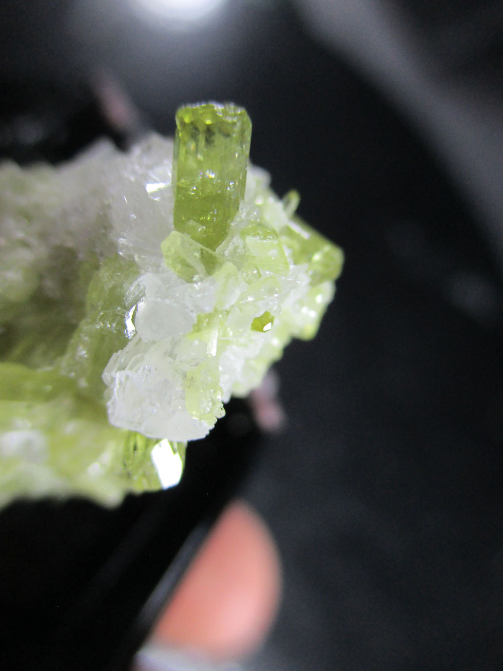 Miniature : Vesuvianite et Pectolite, Mine Jeffrey, Asbestos