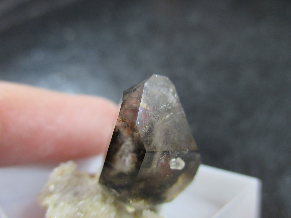 Miniature : Quartz fumé, Mooralla, Victoria, Australie