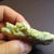 Vesuvianite / mine Jeffrey / Asbestos