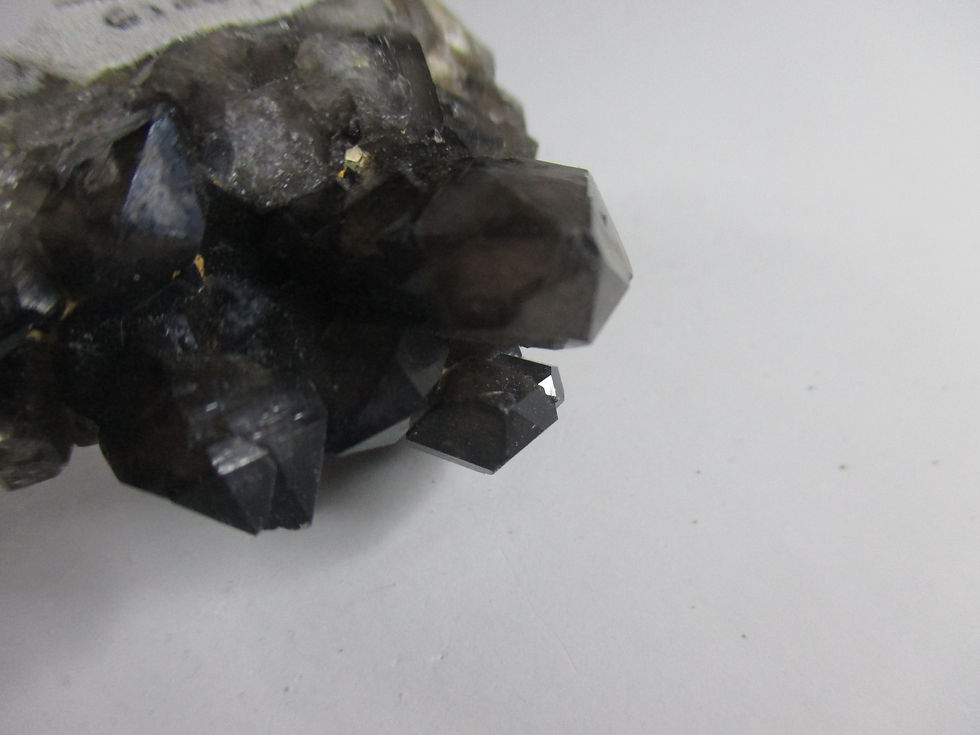 Miniature : Quartz Morion (fumé), Gelles, Puy de Dôme, France
