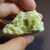 Vesuvianite / mine Jeffrey / Asbestos