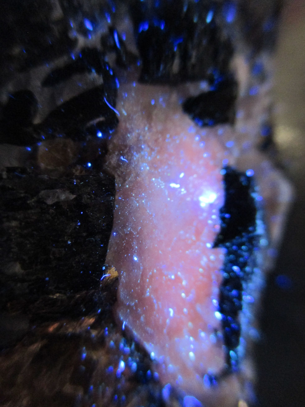 Miniature : Fluororchterite, Biotite et Tourmaline, Wilburforce, Ontario