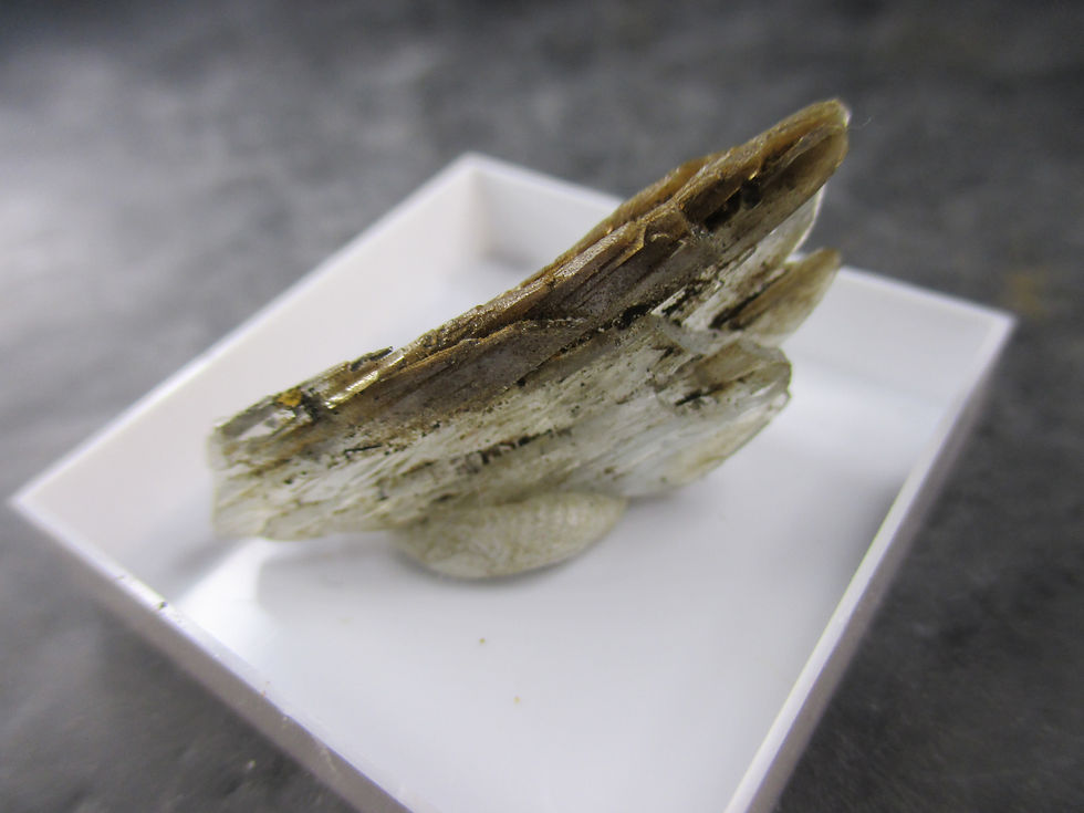 Miniature : Baryte bleue, Sidi Lhcen, Nador, Maroc