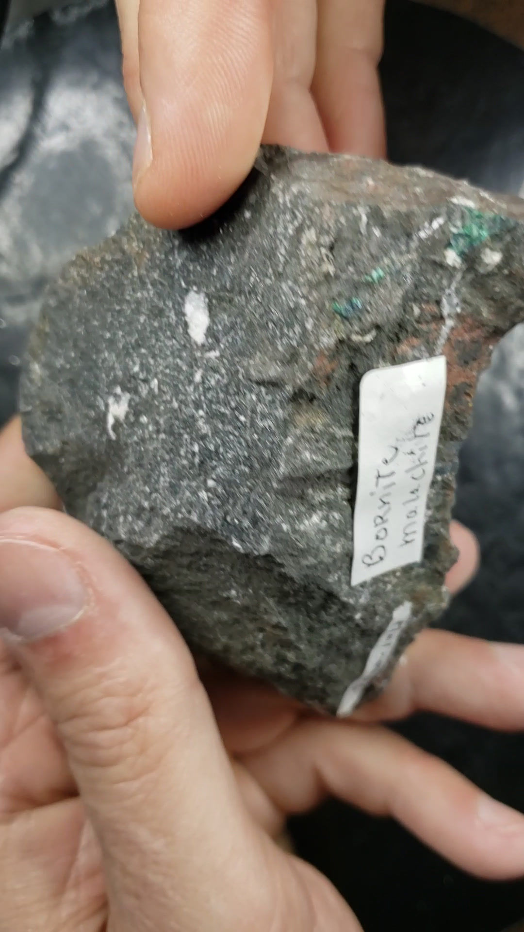 Malachite. Azurite, Calcite sur Bornite, St-Pierre de Brougton, Quebec