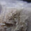 Miniature : Calcite mauve (fluorescent), Boulder Creek, Ontario