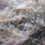 Miniature : Wollastonite et grenat grossulaire, Thetford-Mines