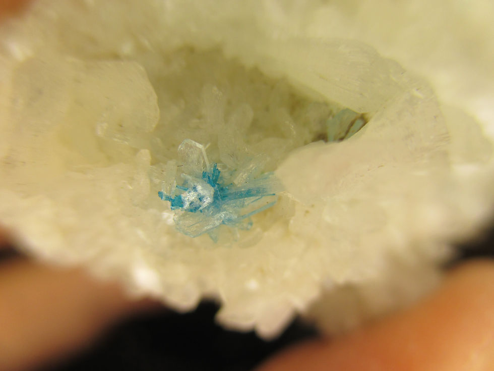 Miniature : Cavansite sur Stilbite, Maharashtra, Inde