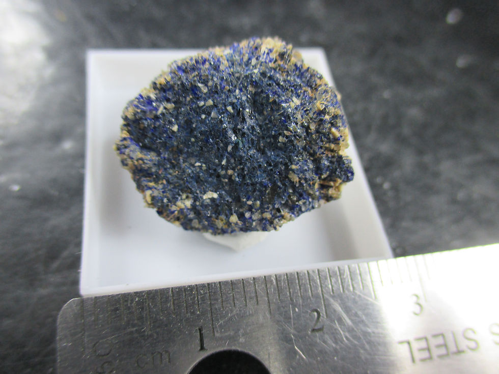 Miniature : Azurite, Chessy-les-Mines, Rhone, France