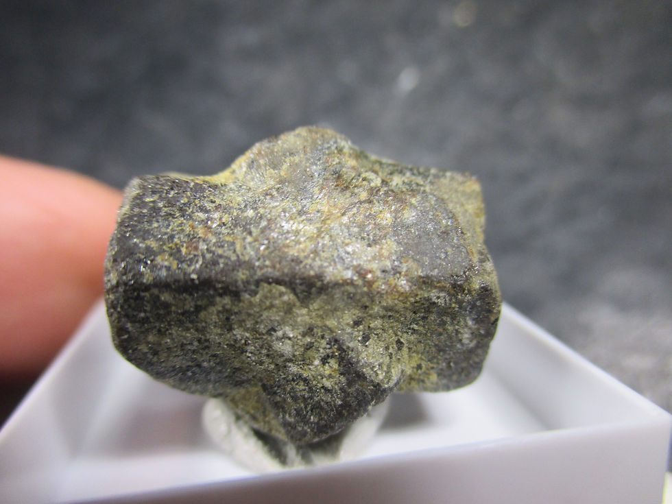 Miniature : Staurolite, Coray, Bretagne, France