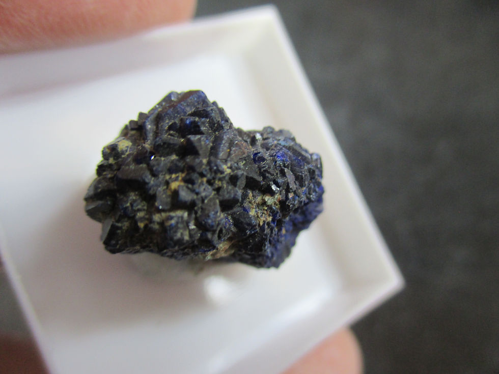 Miniature : Azurite, Florence, Arizona, U.S.A.