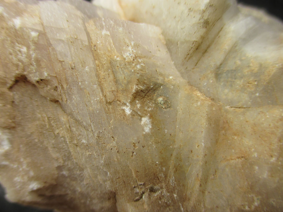 Miniature : Calcite (fluorescente), Boulder Creek, Thunder Bay