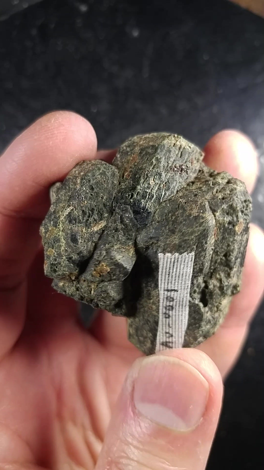 Augite, Egansville, Ontario