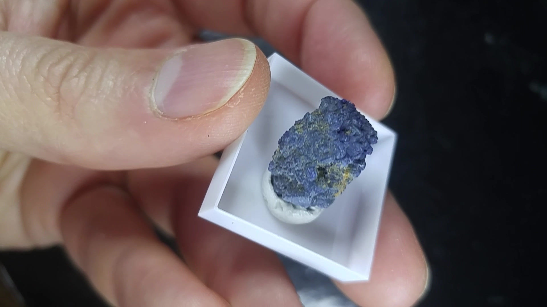 Azurite, Florence, Arizona, U.S.A.