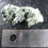 Miniature : Quartz, Chlorite et Chamosite, Warwick