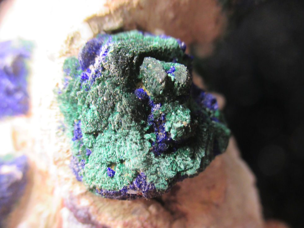 Miniature : Azurites et Malachites sur matrice, Sidi Boubker, Maroc