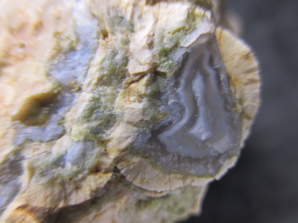 Miniature : Agate polie, Mont Tuzo, Gaspésie, Québec