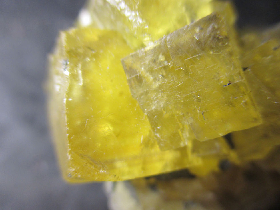 Miniature : Fluorite (fluorescente) et Pyrite, El Hammam, Maroc