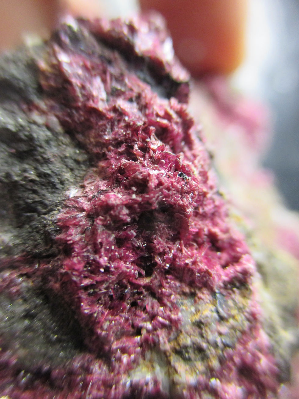 Miniature : Erythrite, Bou Azzer, Maroc