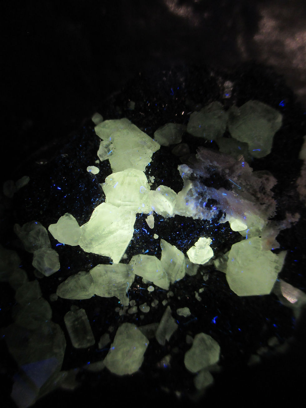 Miniature : Cerusite (fluorescente jaune) et Baryte sur Galène, Mibladen, Maroc