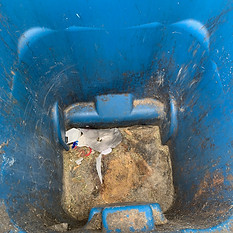 Before and after trash can cleaning service in Kingwood TX