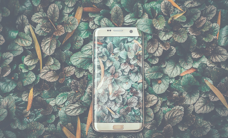 ravi-kumar-uosKSoFhFBA-unsplash_edited.j