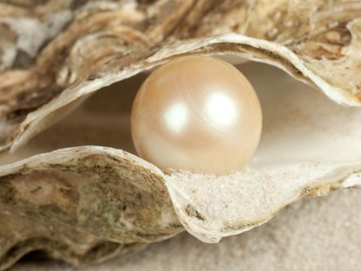 a pearl in an oyster shell