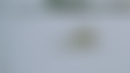 From Monday Misery to Daily Joy: How to Transform Your Work-Life Balance