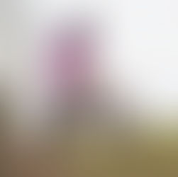 FACE TO FACE con Eleonora Ambrosi #901 PROGETTO MX HMR 2026