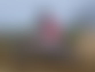 Eccellente prestazione per PROGETTO MX HMR ma soprattutto per Eleonora Ambrosi. Dominio a Malagrotta nel Regionale Lazio