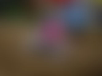 Prima uscita per PROGETTO MX HMR Italiano MX Femminile. A Città di Castello Ele ottiene il 10° assoluto ed un terzo nella Under 19