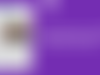 Comunicação no C-level: o que mudou nas empresas