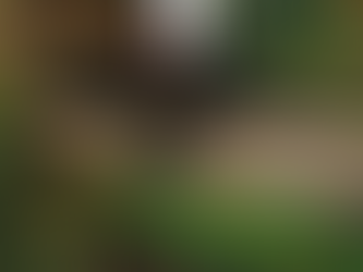 Quadro "Ophelia", de 1852, do pintor inglês John Everett Millais.