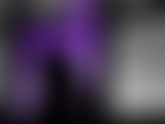 O sentido das coisas