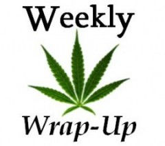 Weekly Wrap Up: Jan. 6, 2017