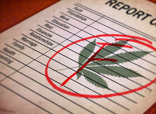36 Percent of States Bomb Annual Medical Marijuana ‘Report Card’