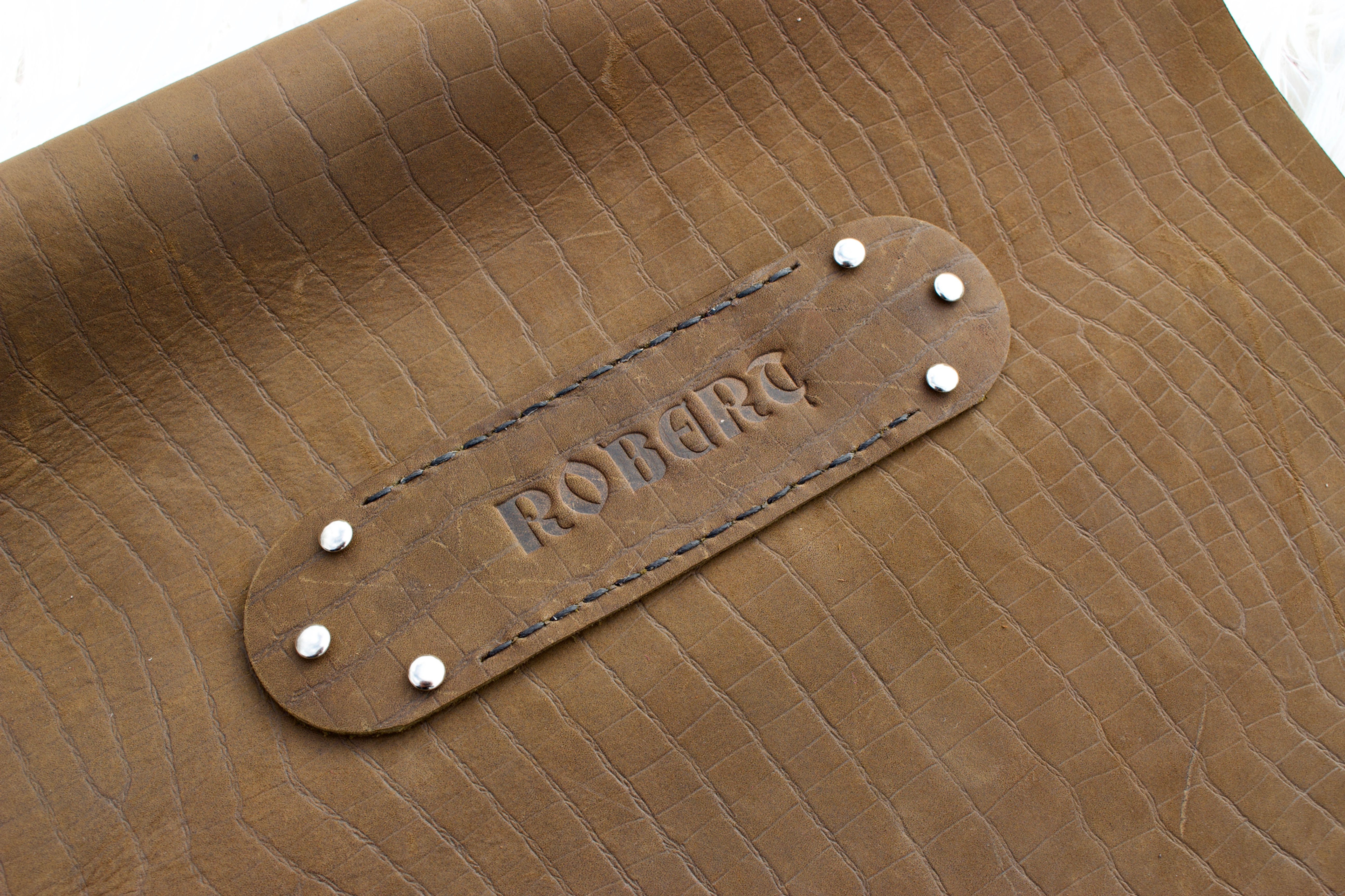 Buffalo log book cover