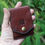 Thumbnail: Basic Bob wallet